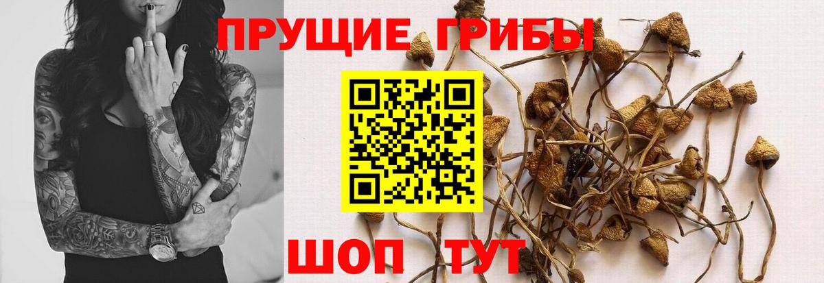 Янаул  Галлюциногенные грибы мицелий  Псилоцибиновые грибы ЛСД  Вход с VPN 